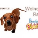 2015 Weiner Dog Races
