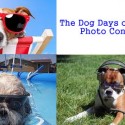 Dog Days of Summer Photo Contest!