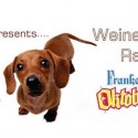 Weiner Dog Races 2014