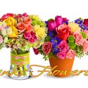 Hank’s Flowerland Giveaway