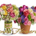 Thanksgiving giveaways from Hank’s Flowerland