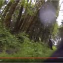 Dog Catches Bigfoot!